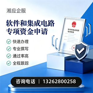 淮南软件和集成电路专项资金申报服务