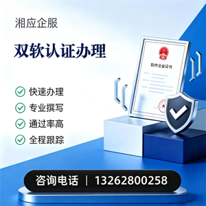 淮南双软认证申报服务