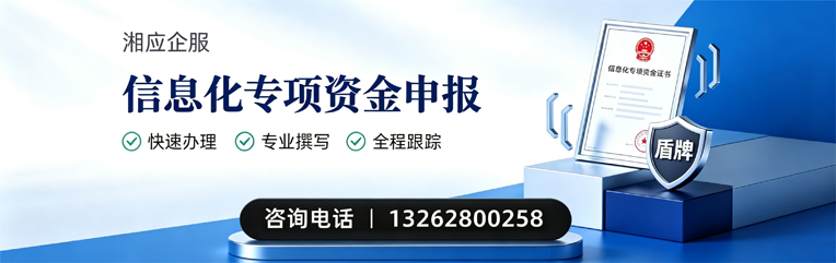 淮南信息化专项资金申报服务