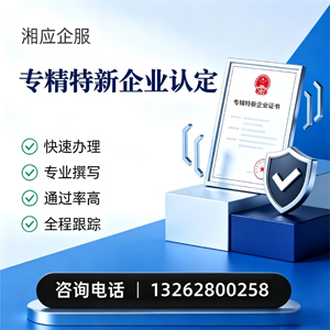 淮南专精特新企业申报服务