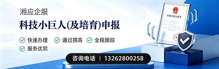 淮南科技小巨人及培育企业申报服务