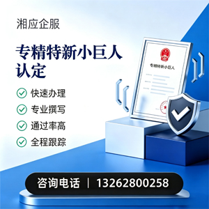 淮南专精特新小巨人申报服务