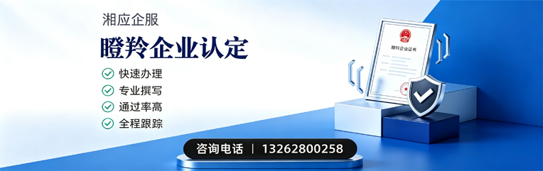 淮南瞪羚企业认定申报服务