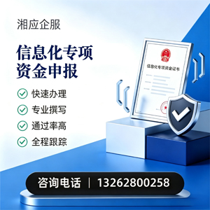 淮南信息化专项资金申报服务