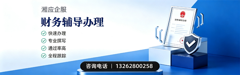 淮南财务辅导申请服务