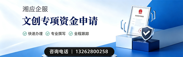 淮南文创专项资金申报服务