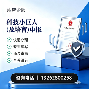 淮南科技小巨人及培育企业申报服务