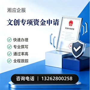 淮南文创专项资金申报服务