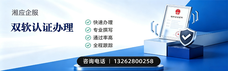 淮南双软认证申报服务