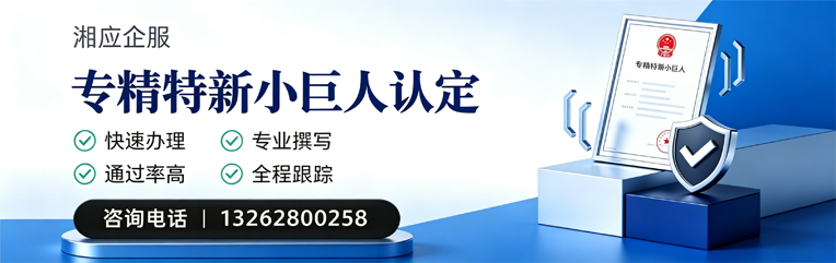 淮南专精特新小巨人申报服务